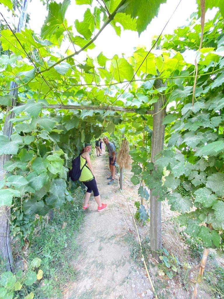 Un'avventura nautica e terrestre a Ischia: vela, trekking e panorami indimenticabili