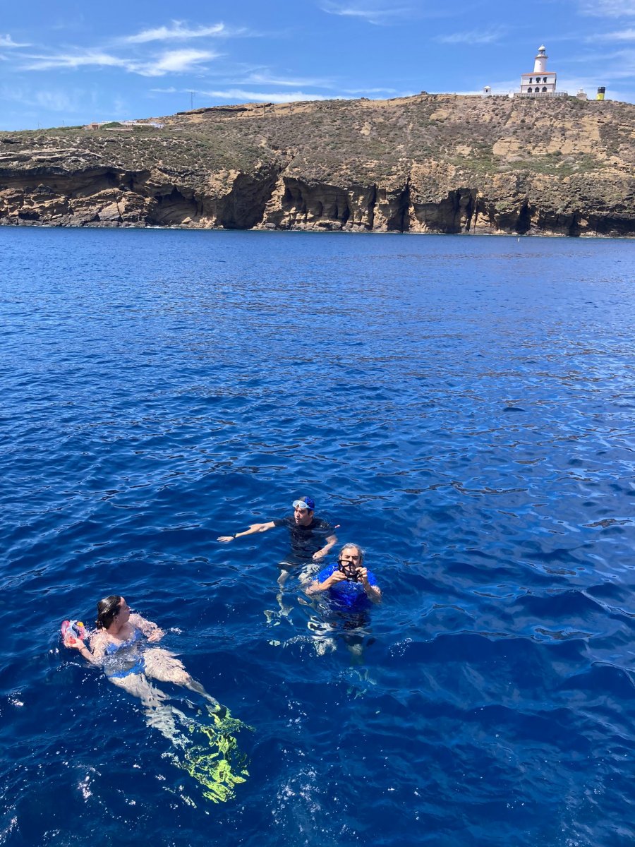 Dolphin Watching Tour