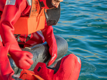 Viajes en barco y cursos de navegación en el Mediterráneo