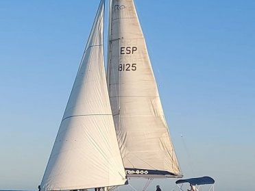 62dd95c133eb01.77576756