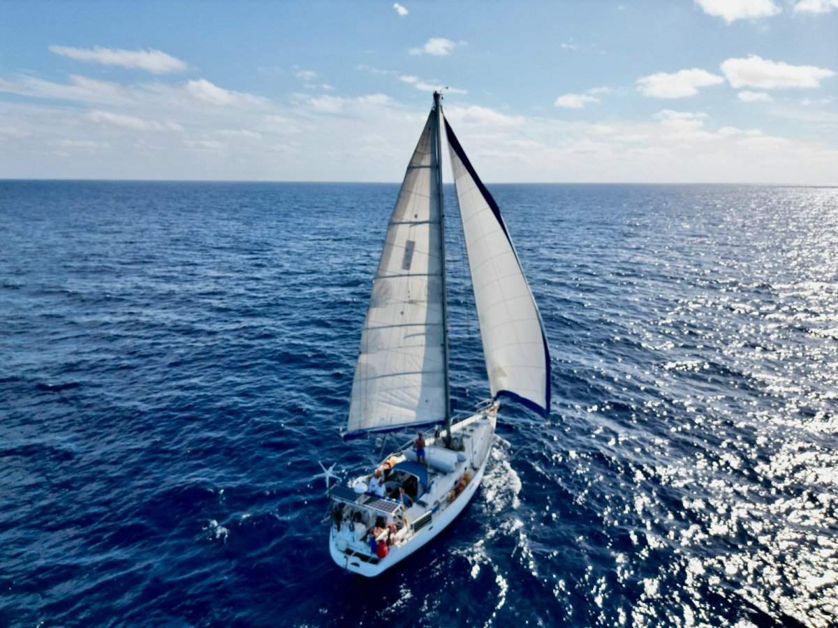 Bénéteau - Beneteau 50 