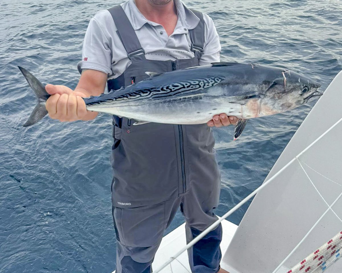 Naviga in catamarano da Capo Verde a Martinica attraverso l'Atlantico