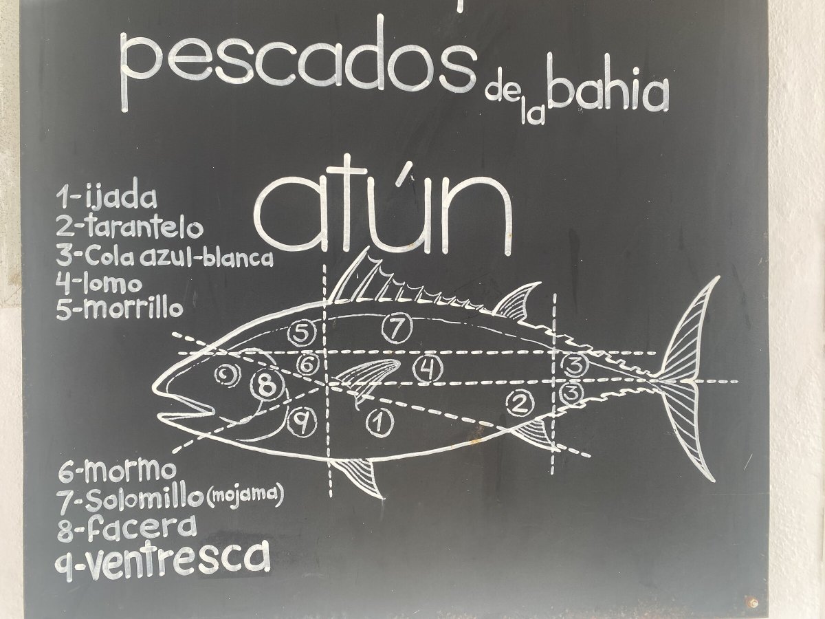 Viaja a través del Atlántico y disfruta de la belleza del mar