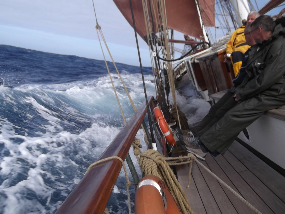 Exploration cruise in the Schären Sea and Gulf of Finland on the south coast