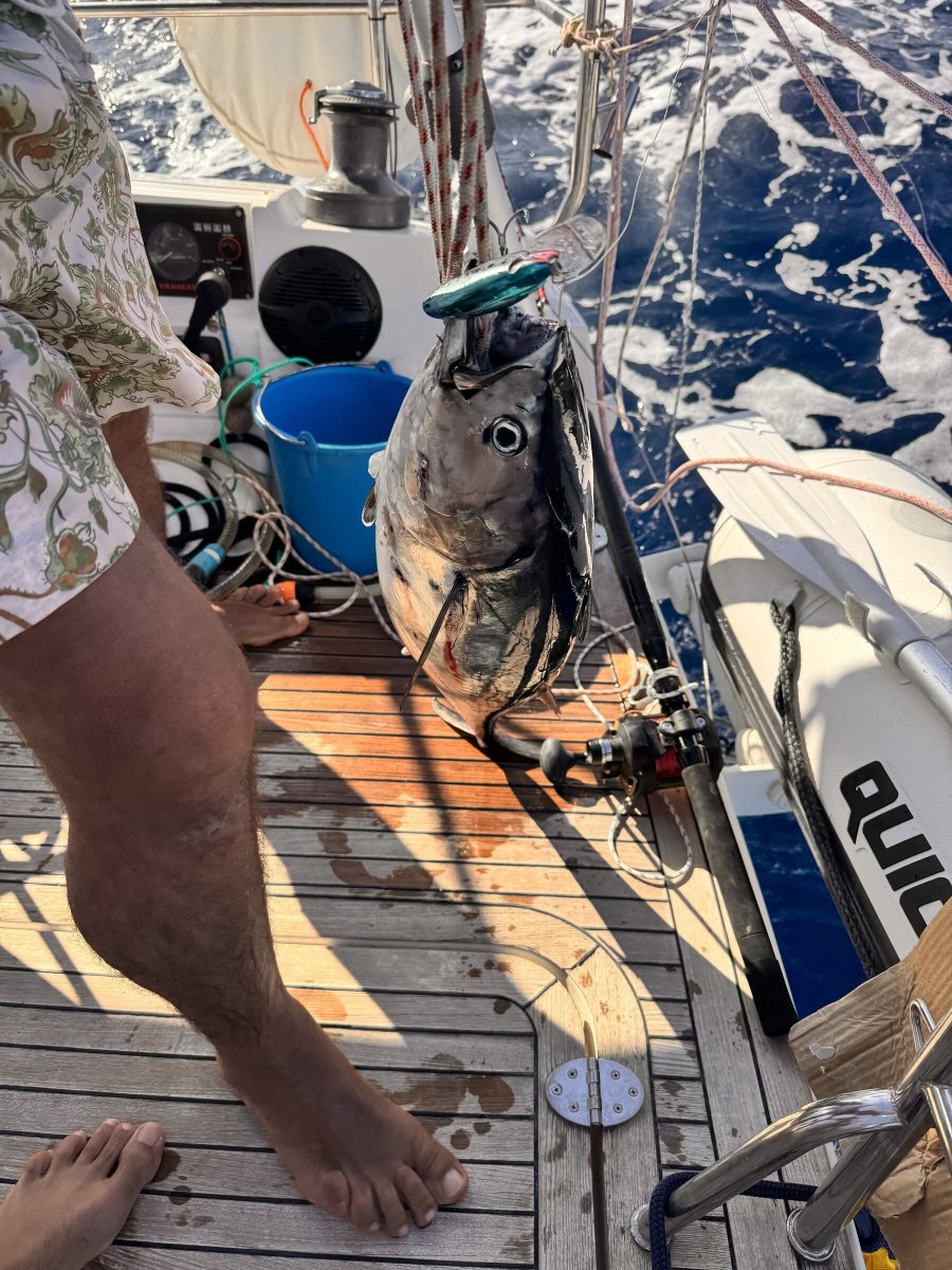 Experiencia de navegación en el Mediterráneo