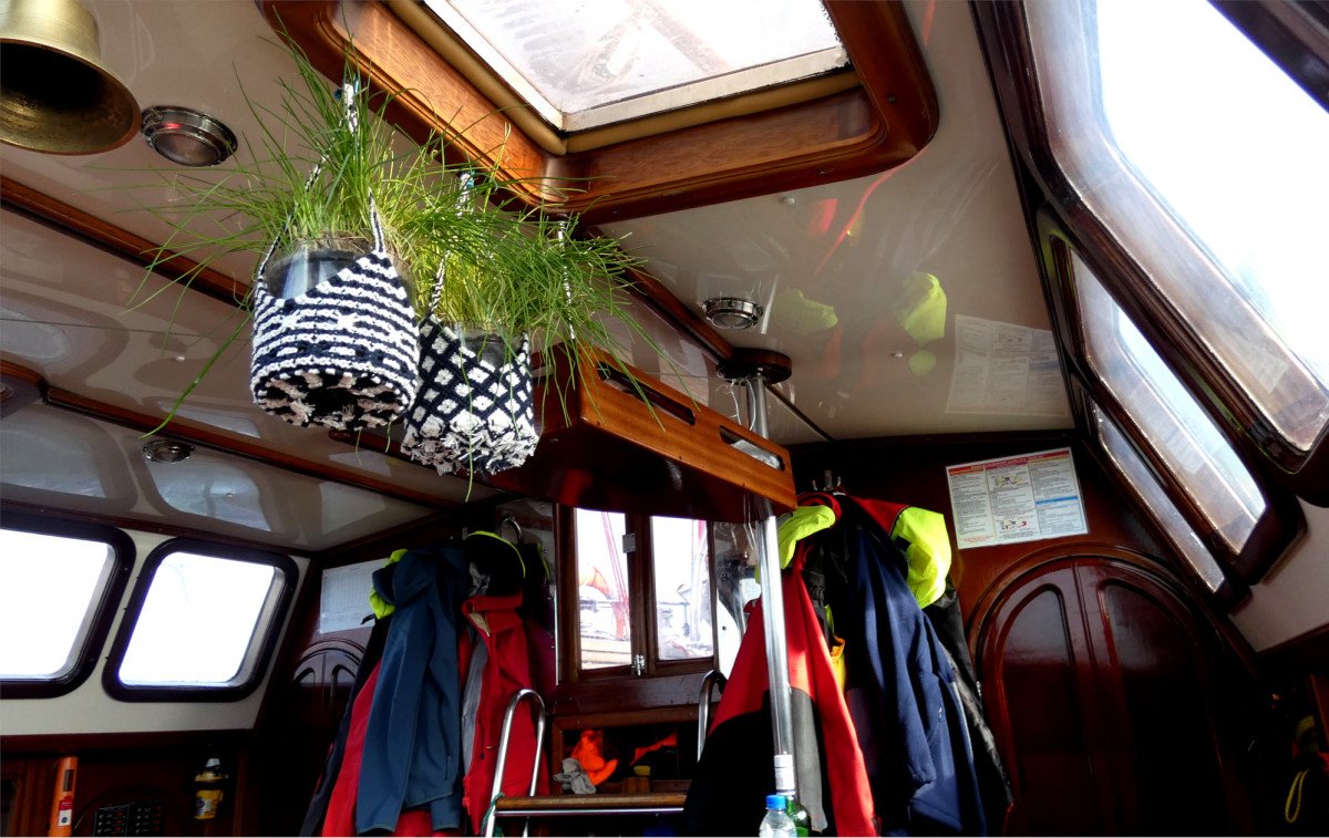 Explore the Svalbard Safari Sailing
