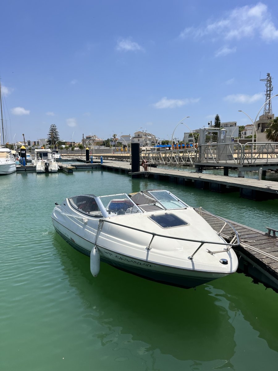Bayliner - 2052 Cuddy
