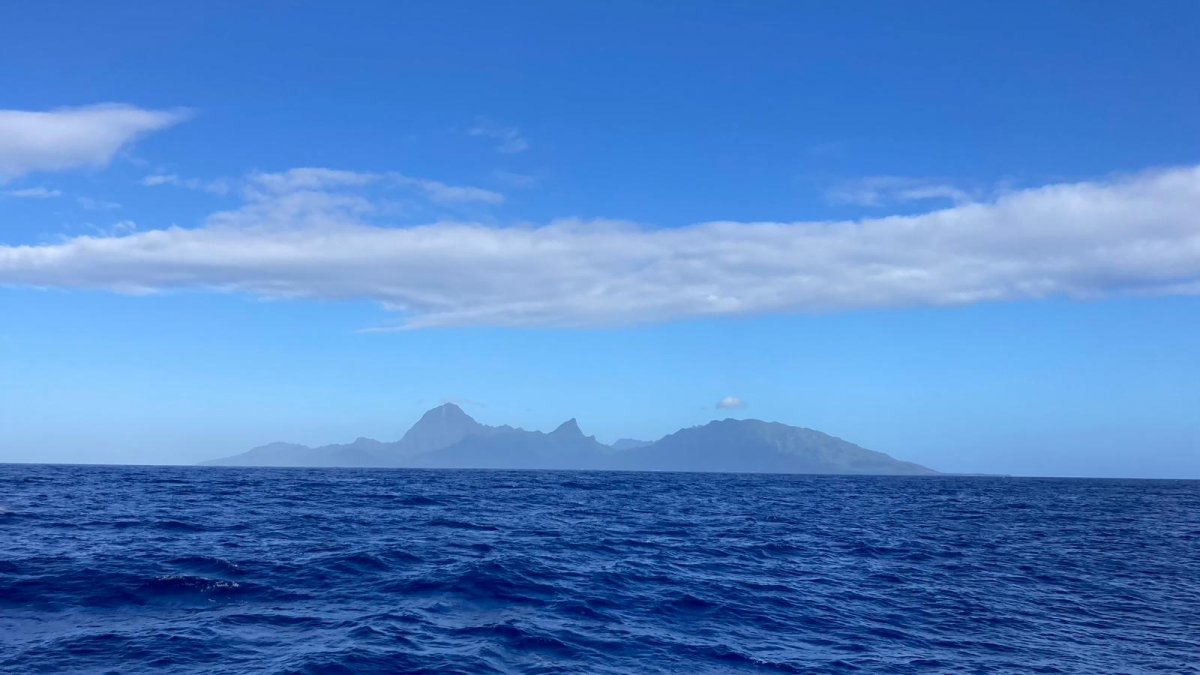 Learn to sail and enjoy the beauty of the sea