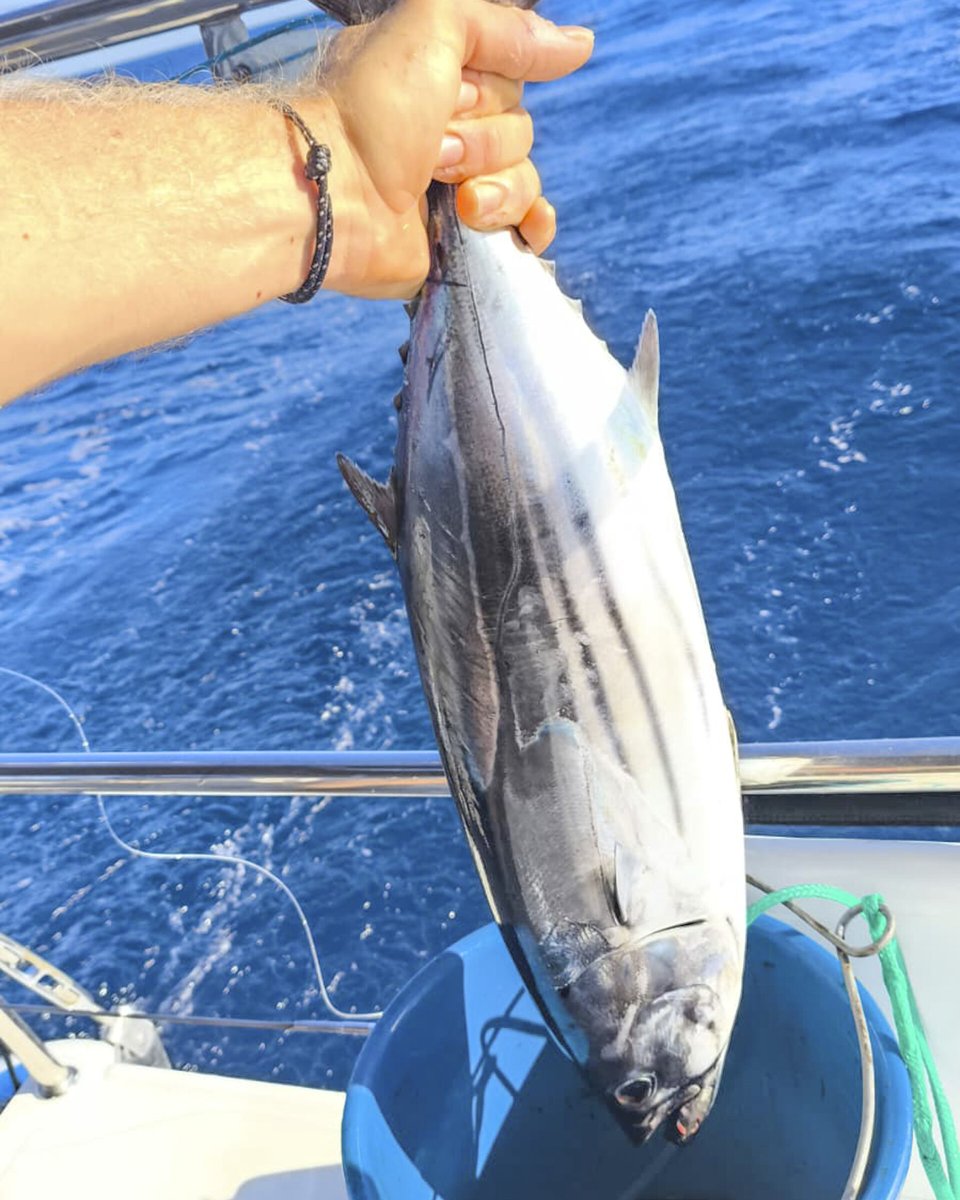 Navegando hacia Lanzarote en un catamarán