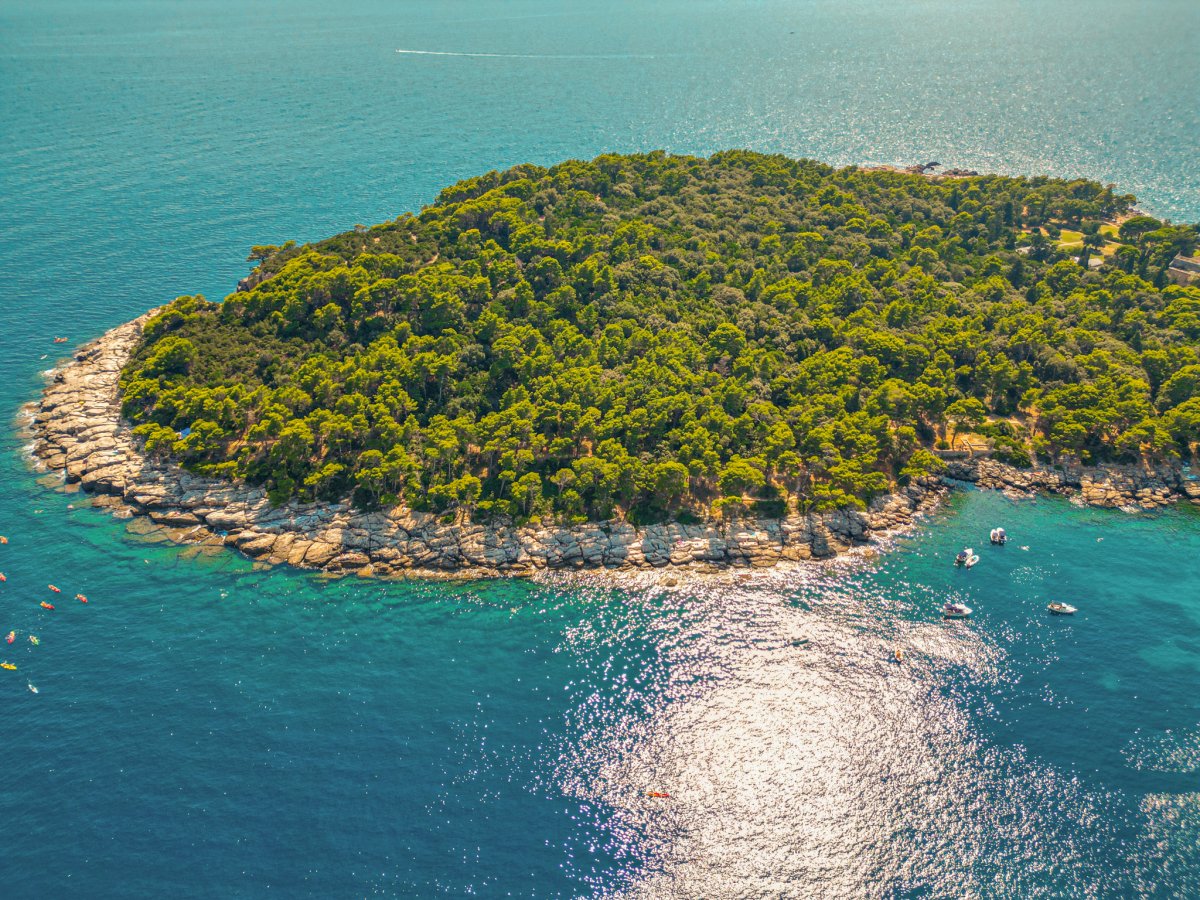 Ammira la costa croata in un catamarano