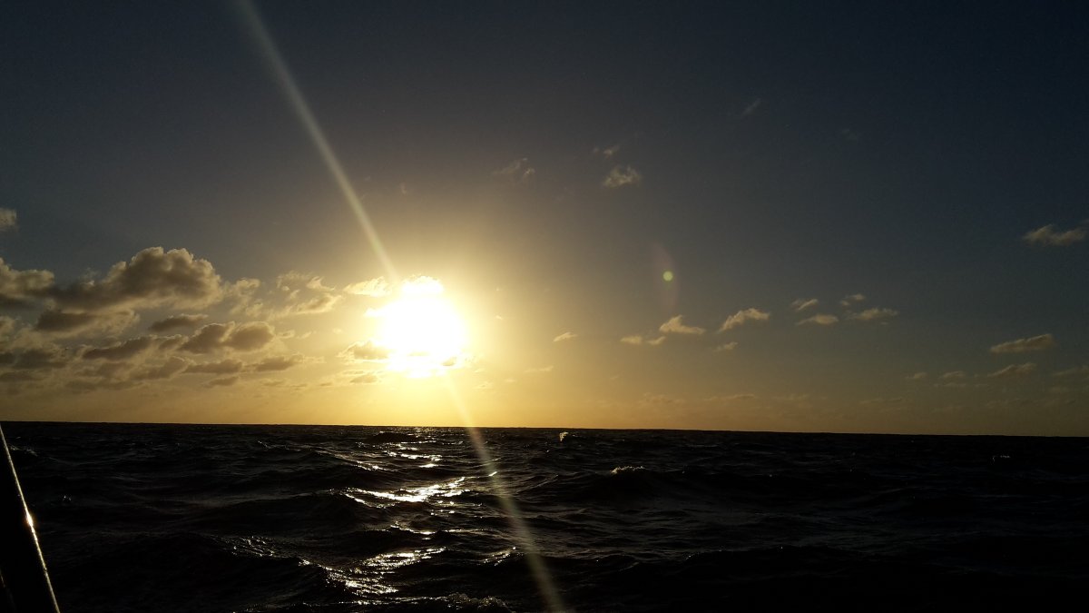 Explore the blue waters of the Atlantic on cruises from Mallorca to Canary Islands and the Caribbean