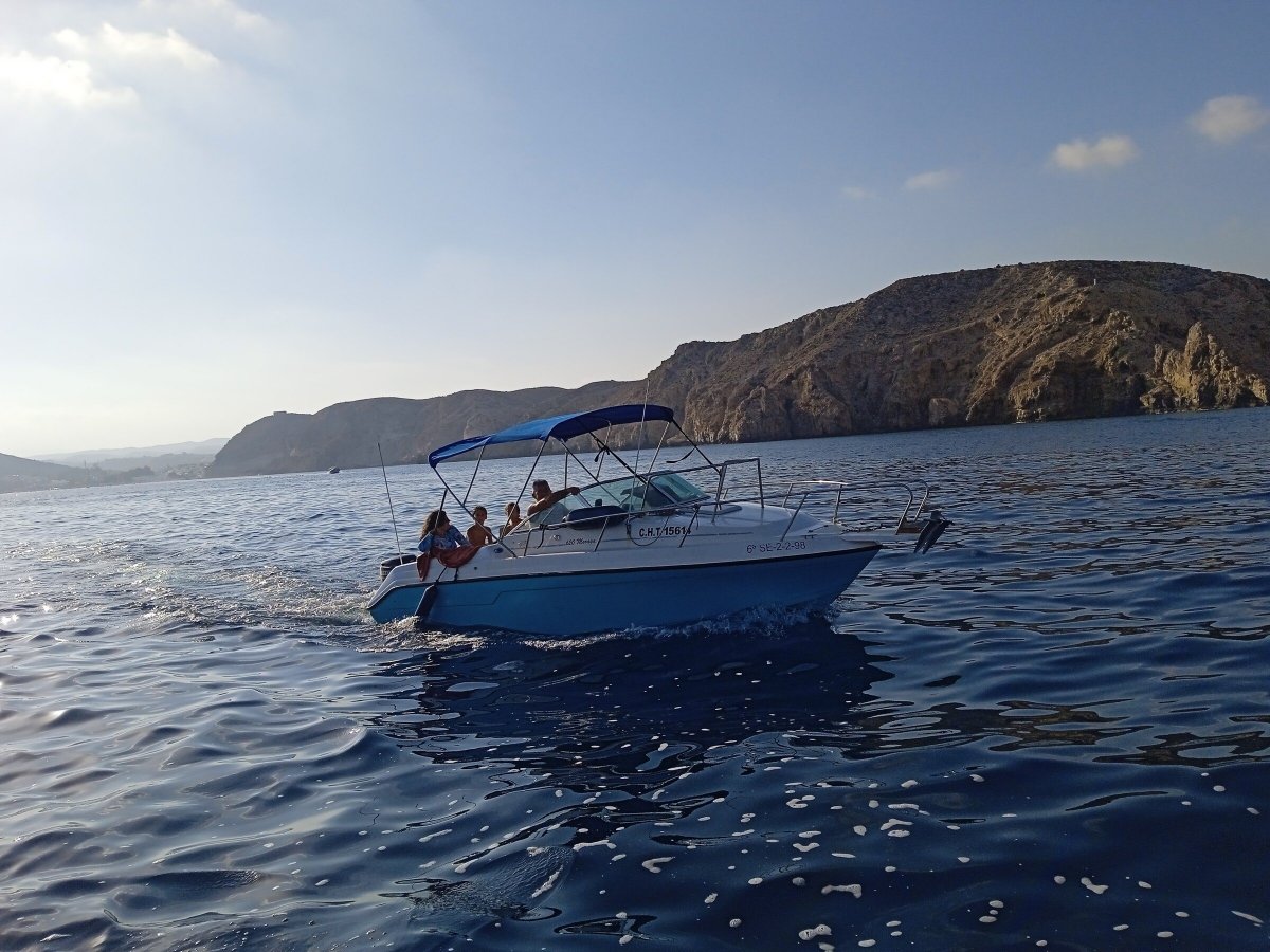 669d39ee1f2e13.10583429