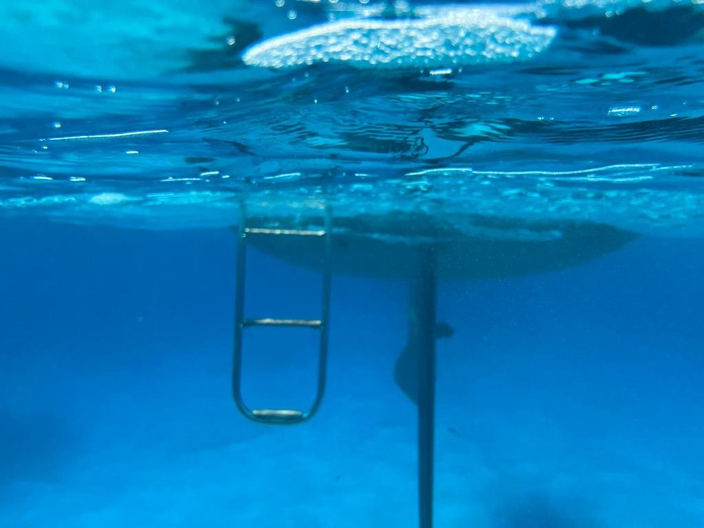 En el mar de Córcega