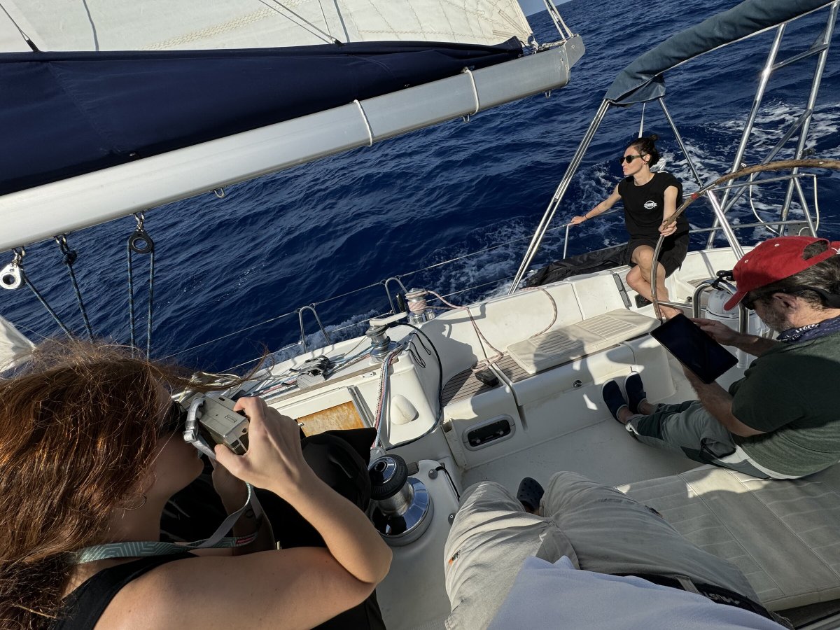 Learn to sail: Sailing courses for beginners