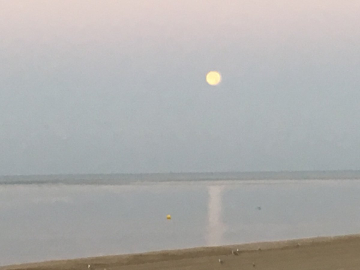 Sail boat el rompido 