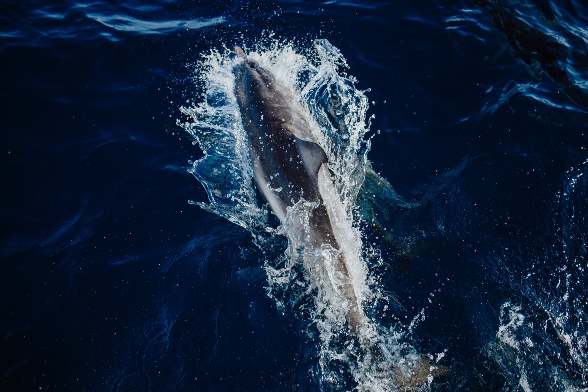 Un'avventura in barca a vela lungo la costa di Minorca