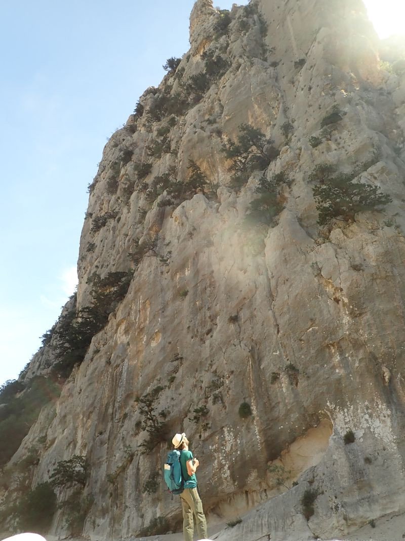 Return home with a new set of sailing skills.