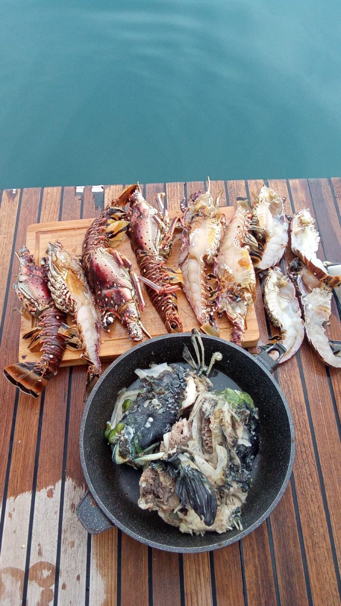 Katamaran - Lagoon - 4 {{i18n.cabins}}