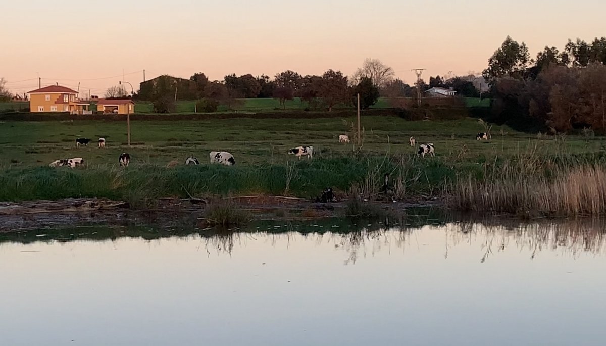 Sailing course in the Ría de Cubas