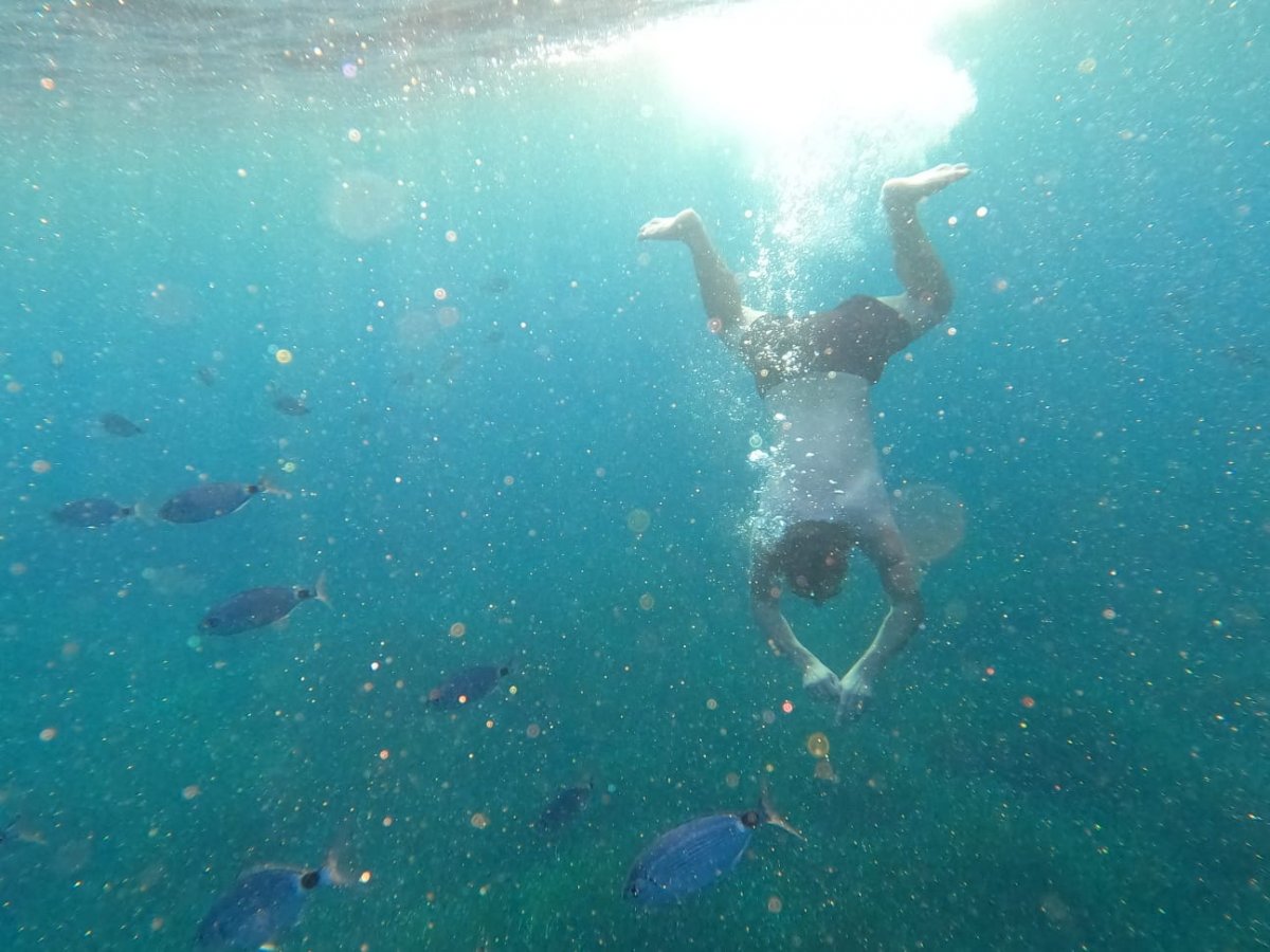 Bavaria Yachts - 14.3 metri