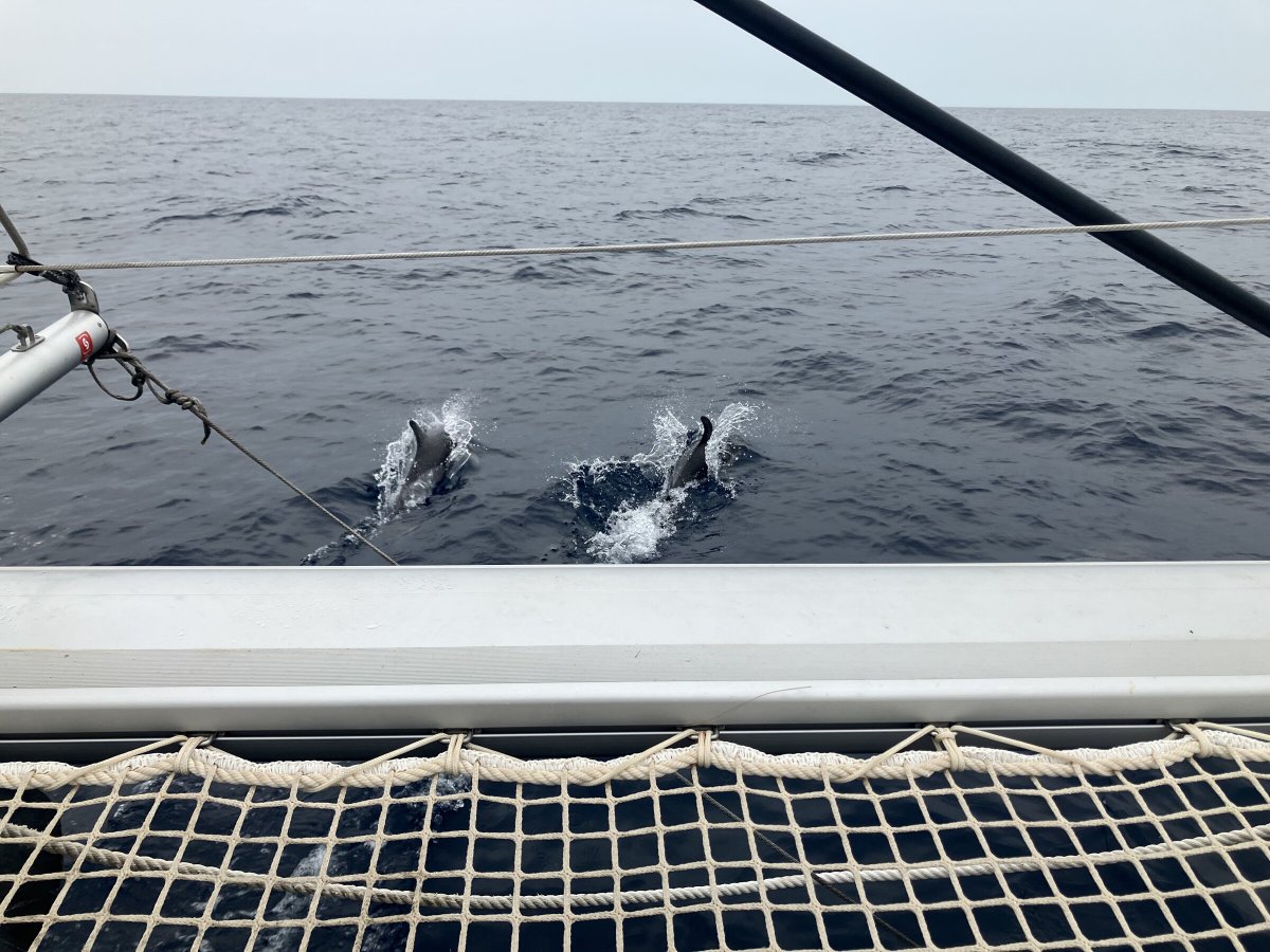 Explore the blue waters of the Atlantic on a cruise