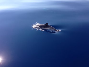 Ponte del 1° Maggio in barca a vela in Costa Azzurra