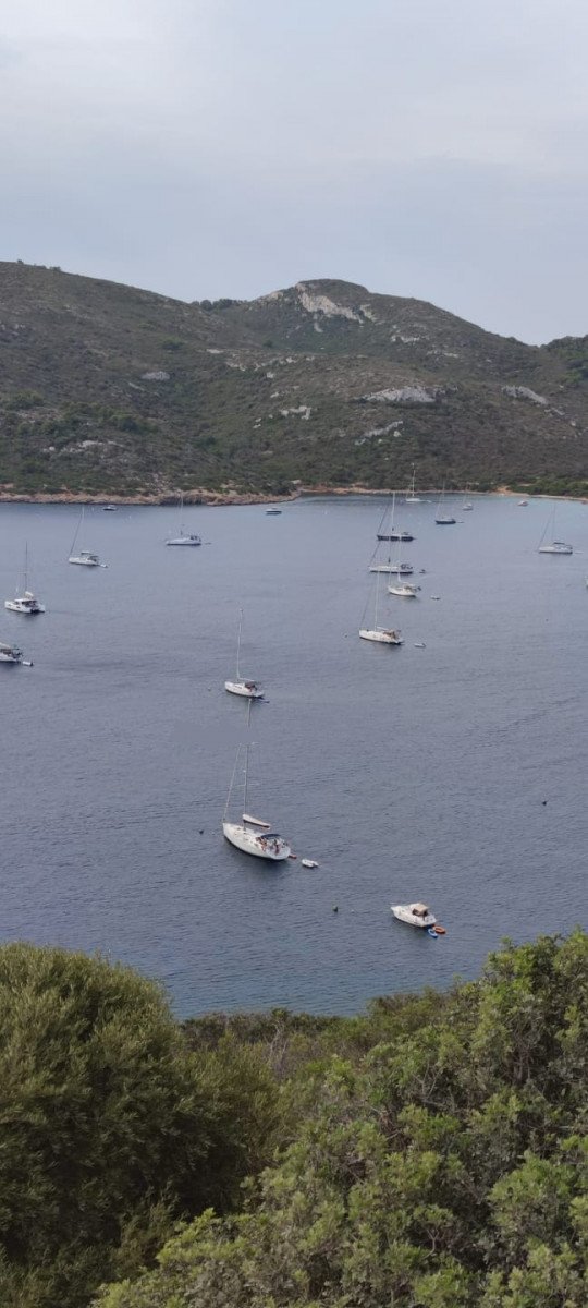 ponte del pilar in barca baleari