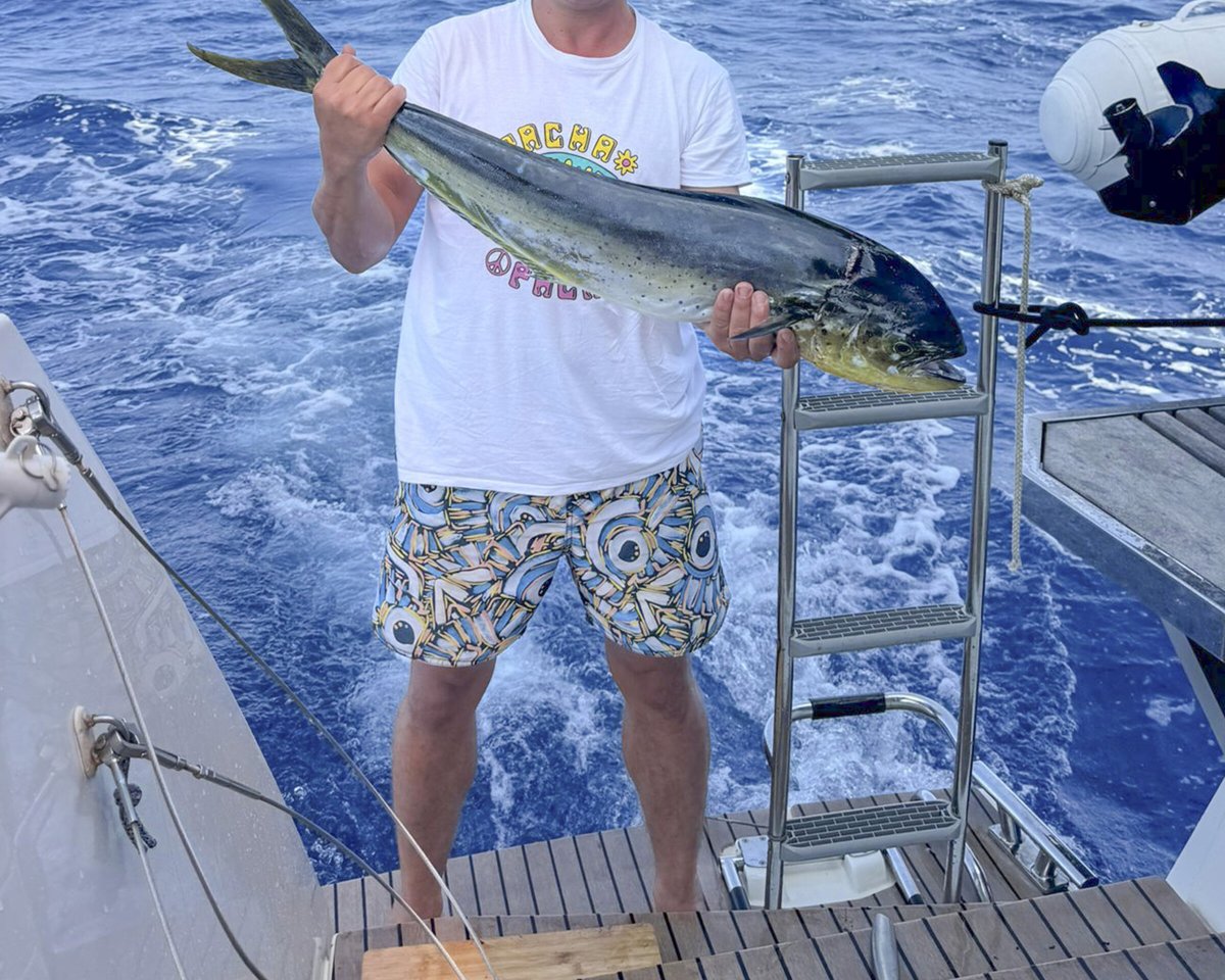 Crossing the Atlantic in a catamaran flotilla from Lanzarote to Martinique