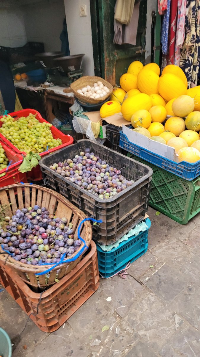 Cruise sailing trip to Morocco - Bootsfahrt