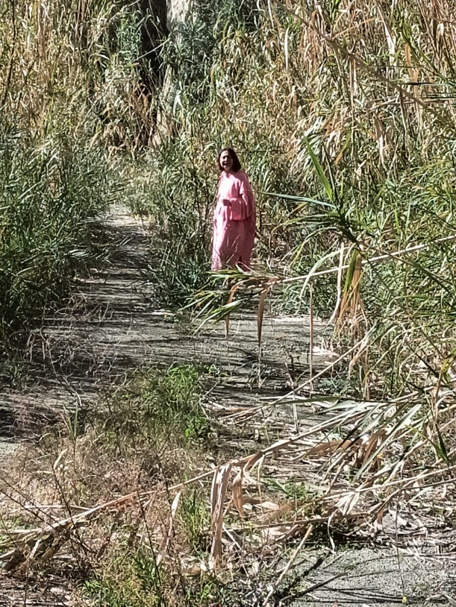 Ischia: una isla para descubrir con actividades de vela y senderismo