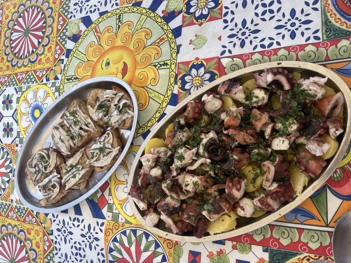 Boat trips and sailing courses showcase