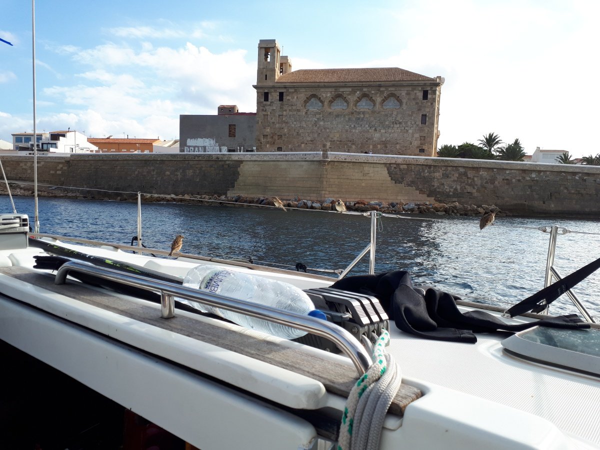 Un'escursione in barca che ti offrirà un'esperienza indimenticabile a Santa Pola.