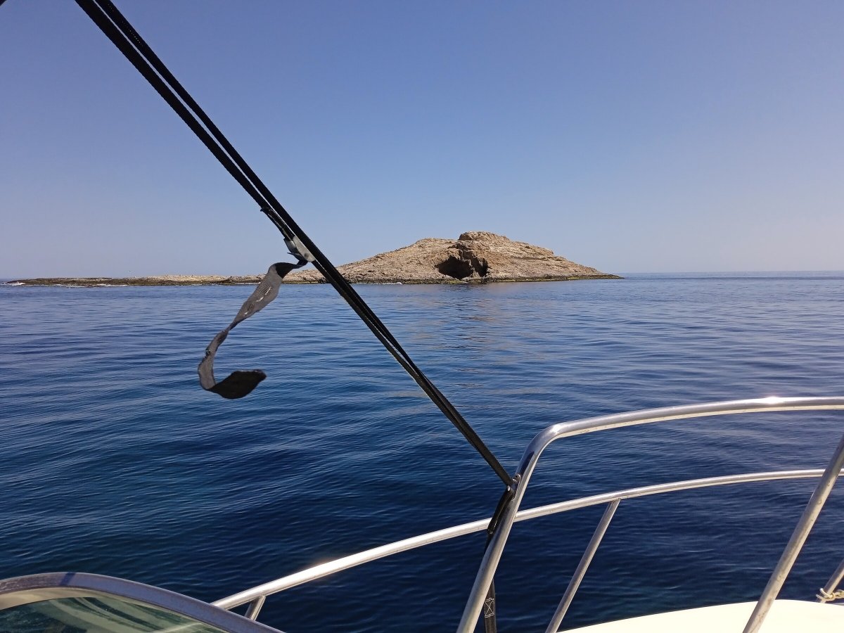 Una settimana di immersione nella pratica di PNB a Cabo de Gata