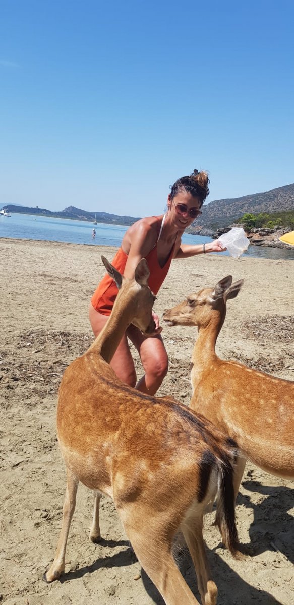 Bootsausflug auf der Insel Elba: Natur und Freunde