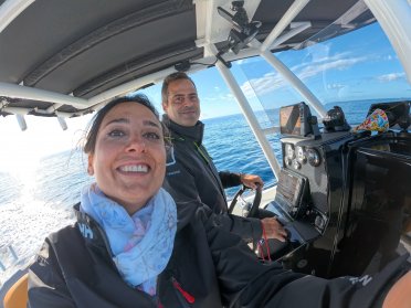 Paseo en barco por el sur de Tenerife: ¡Una aventura inolvidable! ☀️
