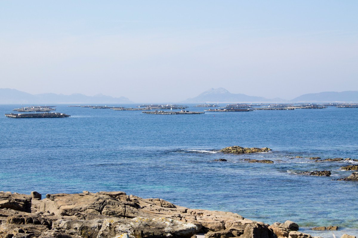 practicas-habilitar-a-vela-vigo