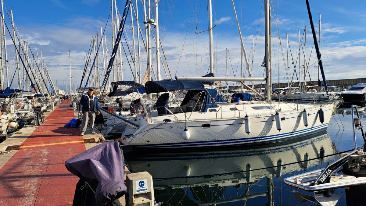 Encuentra ballenas y delfines en su hábitat natural