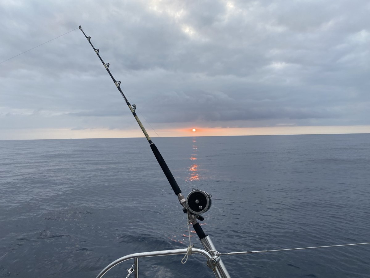 Enjoy the natural beauty on your boat trip.