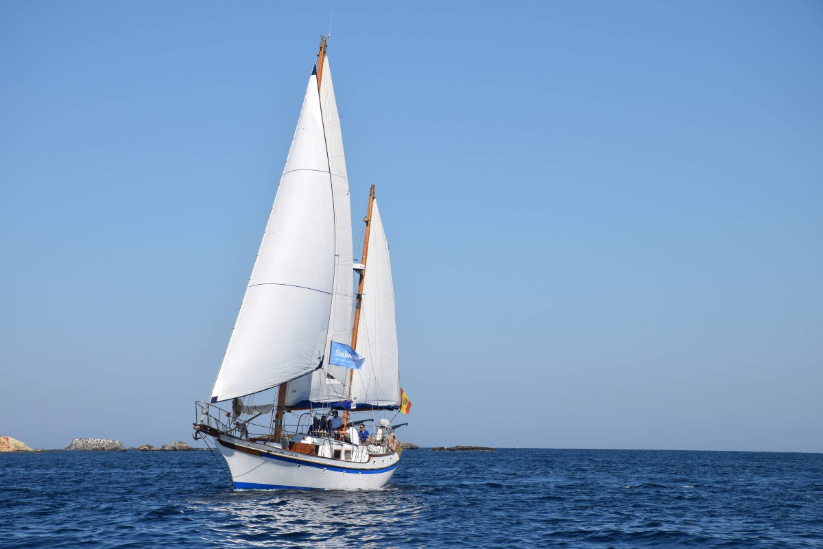 Aprender a navegar en Alicante