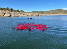 Learn to sail with courses in Madrid