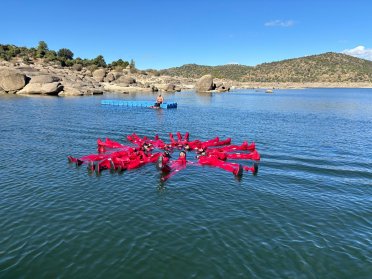 Basic Training Course in Maritime Safety in Madrid