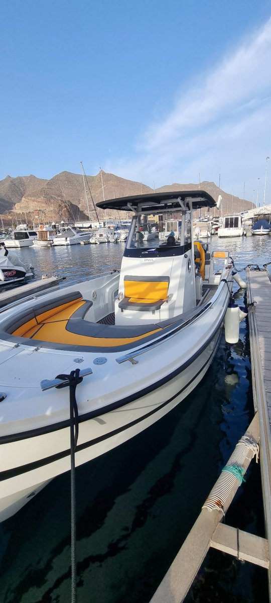 Motorboat - BWA - BMA X266 Sun & Fish