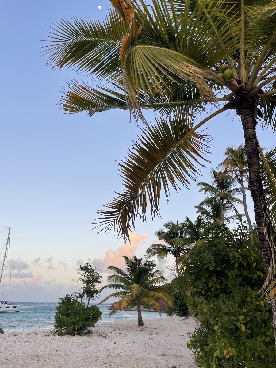 Sail through the crystal clear waters of the Caribbean and discover the tropical islands of the Grenadines