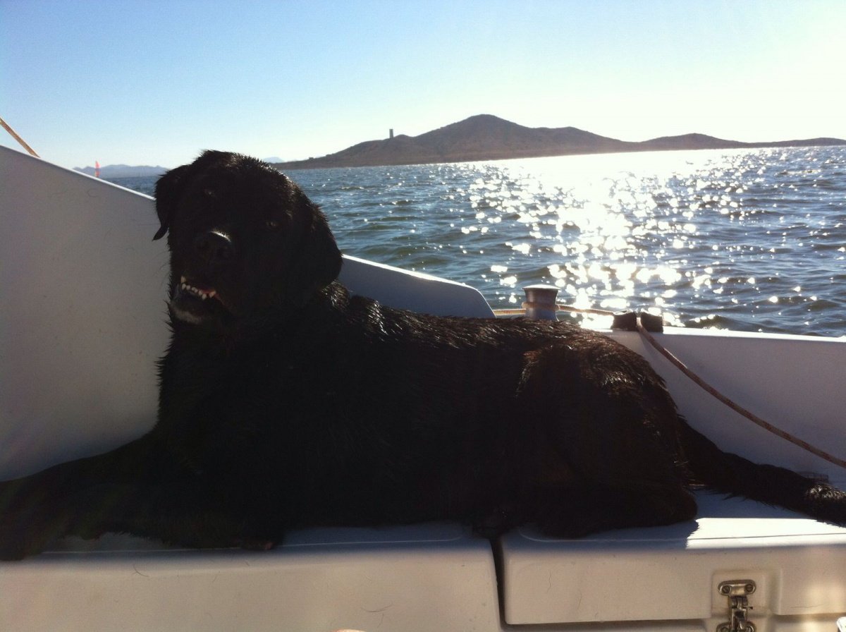 Explore the islands and beaches of the Mar Menor