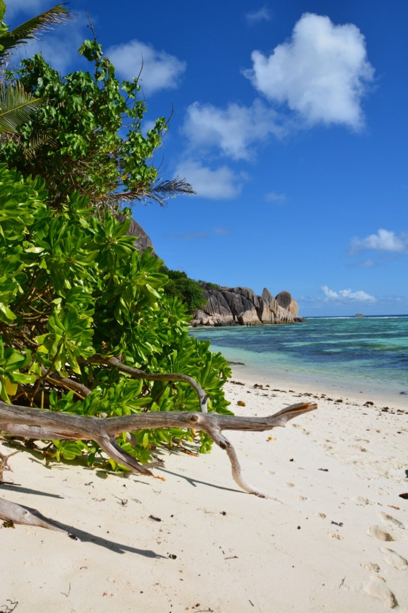 Noleggio Barche a Vela - Naviga in Stile