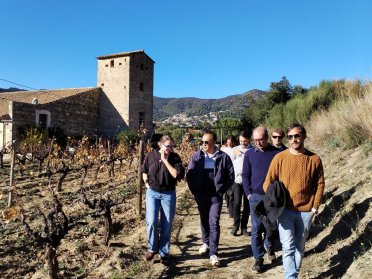 Alella Vineyard & Sailboat Tour from Barcelona
