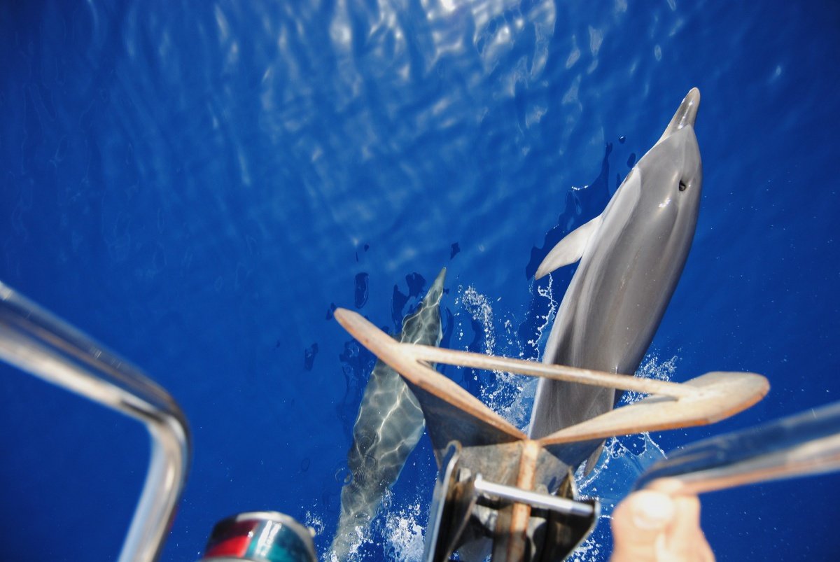 Vida a bordo Ibiza y Formentera