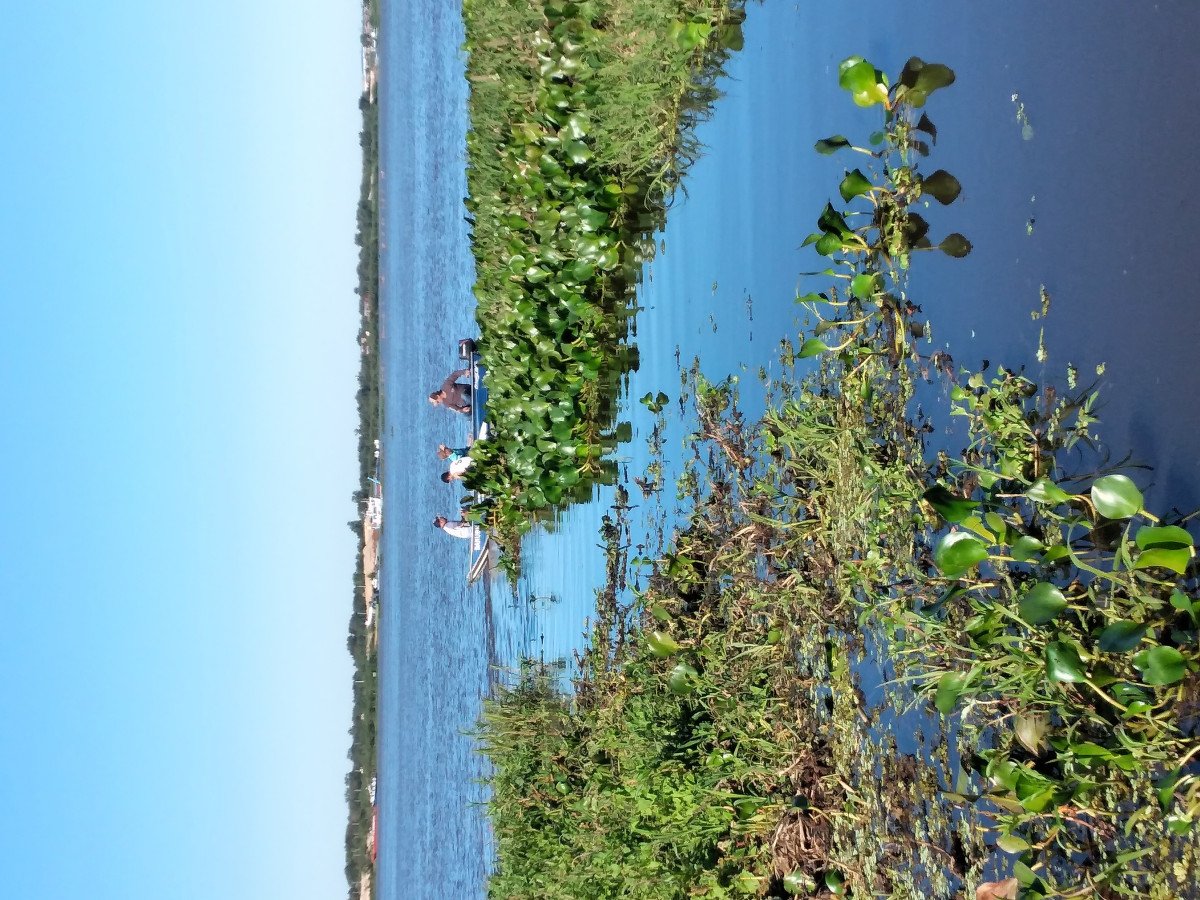 Passenger cruise - Astilleros Construcciones One Off - 8 people