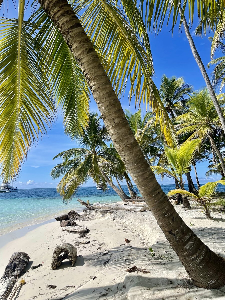 Pazifik-Überquerung per Segelschiff, von Panama nach Französisch-Polynesien