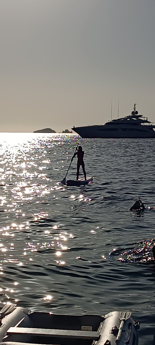 Sailboat - Bavaria Yachts - 10 people